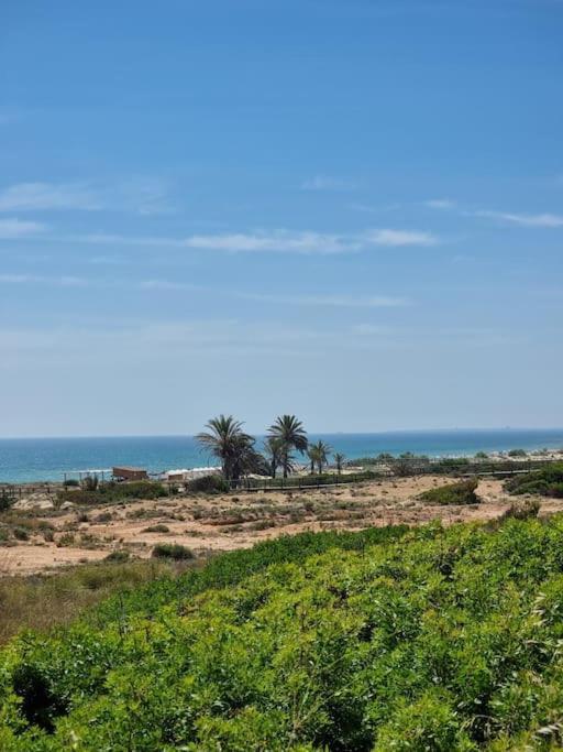 ארנאלס דל סול Marbella Sea View Apartament מראה חיצוני תמונה
